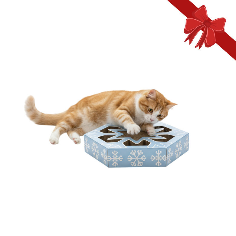 Wonder Christmas Arranhador de Cartão de Natal para Gatos,  Imagem número 1 Wonder Christmas Arranhador de Cartão de Natal para Gatos, , large Imagem número 1