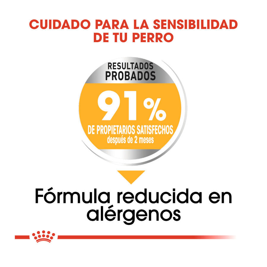 12 kg Royal Canin Maxi Dermacomfort ra&ccedil;&atilde;o para c&atilde;es, , large Imagem n&uacute;mero 6