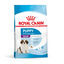 1 kg Royal Canin Puppy Giant ração para cães, , large Indicador imagem número 1