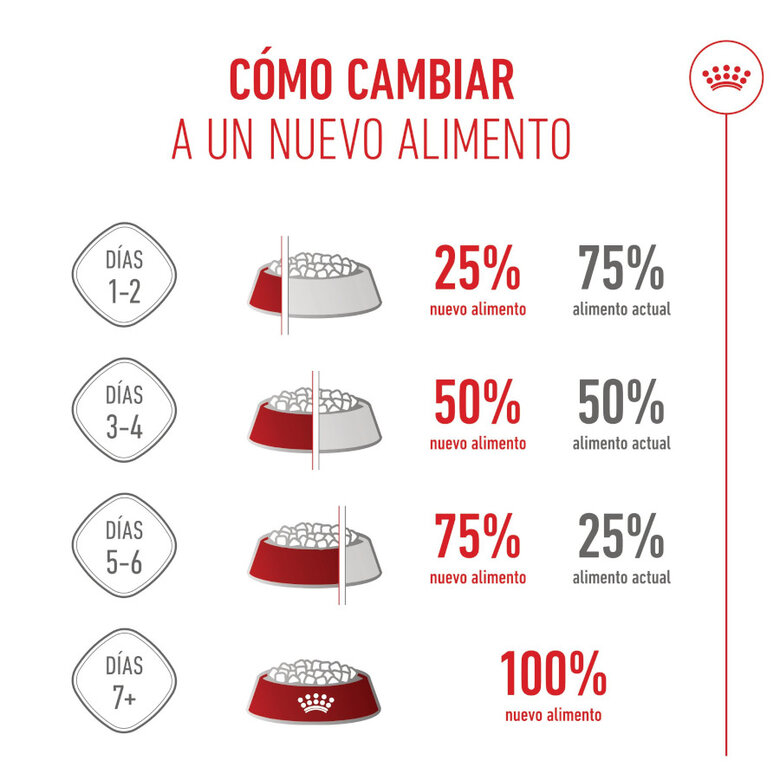 Royal Canin Mini Starter MothereBaby ração para cães,  Imagem número 10 Royal Canin Mini Starter MothereBaby ração para cães, , large Imagem número 10