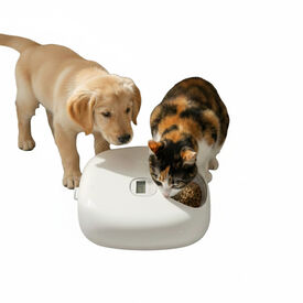 All For Paws Lifestyle Comedouro Automático Branco para cães e gatos