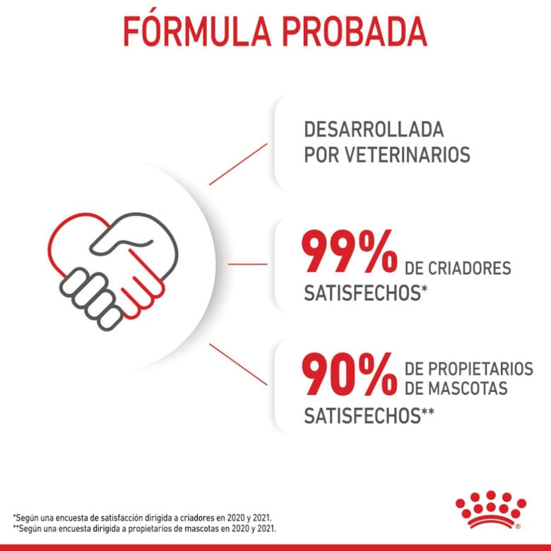 85 g Royal Canin Kitten patê em saquetas para gatos,  Imagem número 12 85 g Royal Canin Kitten patê em saquetas para gatos, , large Imagem número 12