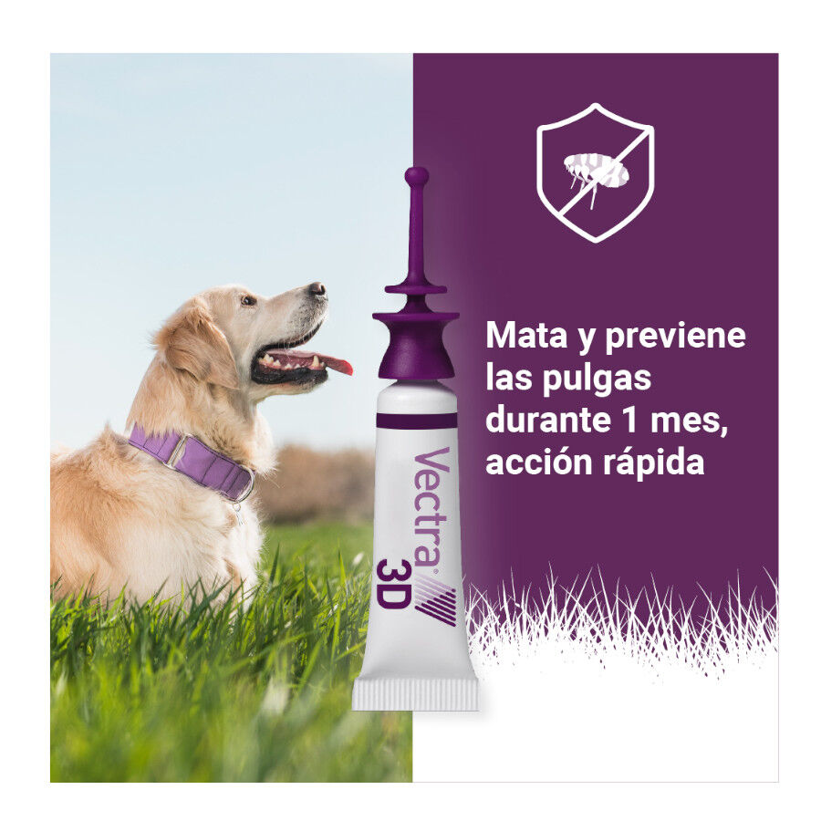 Vectra 3D Pipetas Antiparasit&aacute;rias para c&atilde;es, , large Imagem n&uacute;mero 11