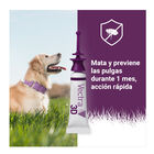 Pipetas Antiparasitárias para cães Vectra 3D, , large image number null