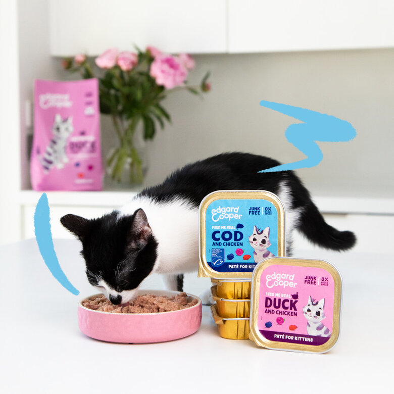 85 g Edgard y Cooper Kitten Bacalhau e Frango em Patê terrina,  Imagem número 2 85 g Edgard y Cooper Kitten Bacalhau e Frango em Patê terrina, , large Imagem número 2