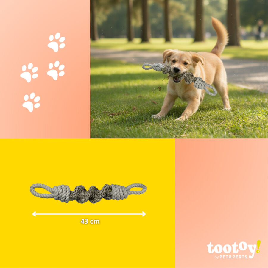 Tootoy! Pull Brinquedo de corda com n&oacute; para c&atilde;es, , large Imagem n&uacute;mero 4