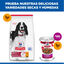 363 g Hill's Science Plan Adult Comida h&uacute;mida de Vaca e Legumes para c&atilde;es, , large Indicador imagem n&uacute;mero 5