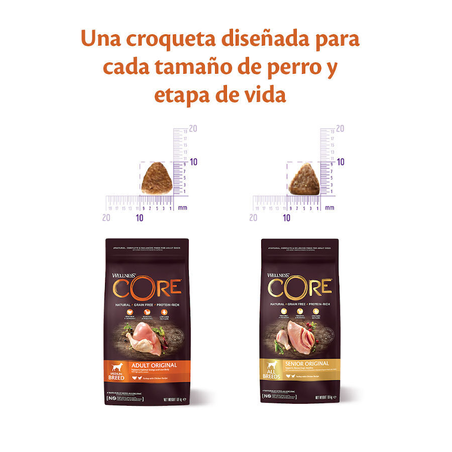 10 kg Wellness Core Adult Medium/Large Healthy Peru ra&ccedil;&atilde;o para c&atilde;es , , large Imagem n&uacute;mero 3