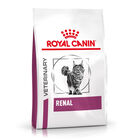 Royal Canin Veterinary Renal ração para gatos , , large image number null