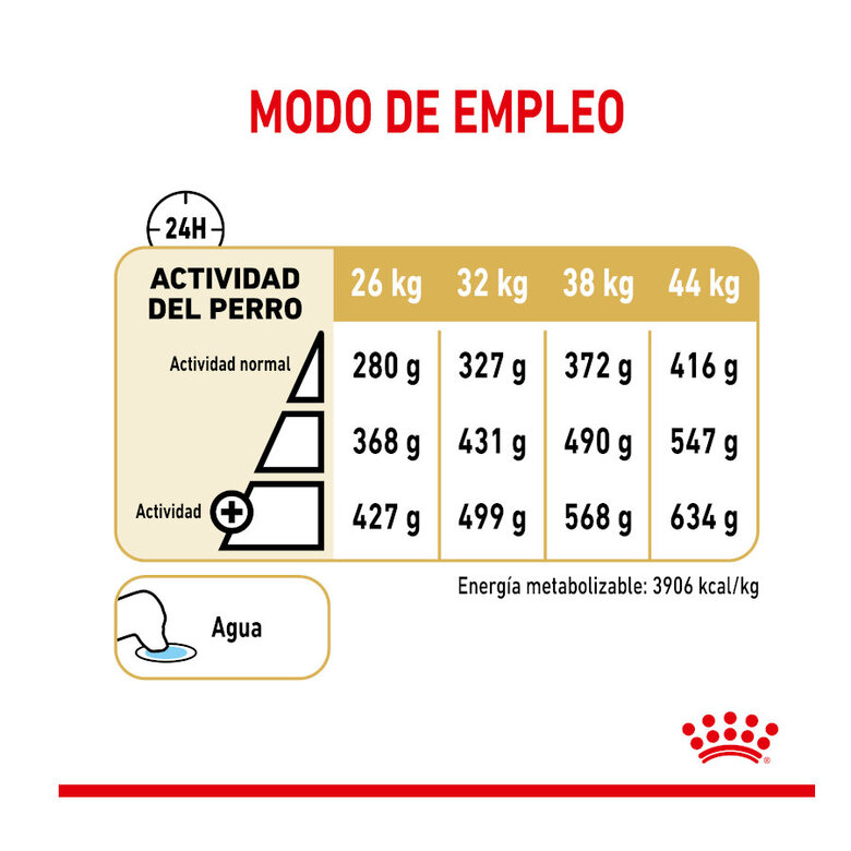 12 kg Royal Canin Adult 5+ Pastor Alemão ração para cães,  Imagem número 5 12 kg Royal Canin Adult 5+ Pastor Alemão ração para cães, , large Imagem número 5