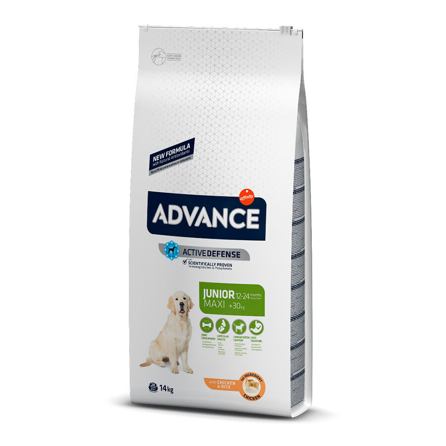 14 kg Advance Active Defense Maxi Junior Frango e Arroz ra&ccedil;&atilde;o para c&atilde;es, , large Imagem n&uacute;mero 1
