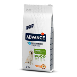 Affinity Advance Maxi Junior Frango e Arroz ração para cães