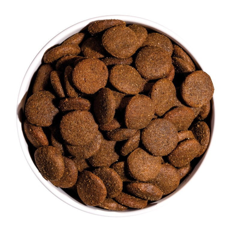 Ownat Ultra Maxi Adult ração para cães,  Imagem número 3 Ownat Ultra Maxi Adult ração para cães, , large Imagem número 3