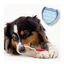 Beaphar Kit dentário para cães, , large Indicador imagem número 5