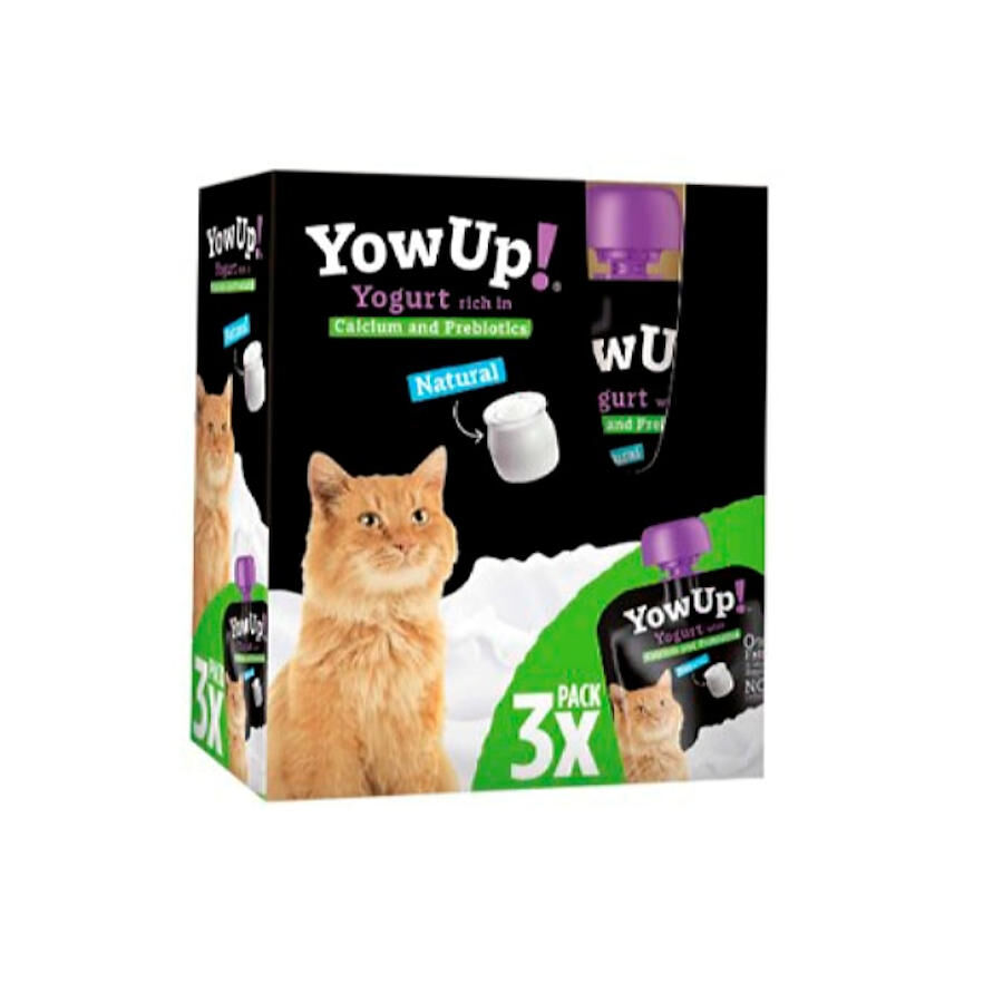 3 uds. x 85 g YowUp Iogurte Natural para gatos, , large Imagem n&uacute;mero 1