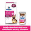 10 kg Hill's Prescription Diet Gastrointestinal Biome Frango ra&ccedil;&atilde;o para c&atilde;es, , large Indicador imagem n&uacute;mero 9