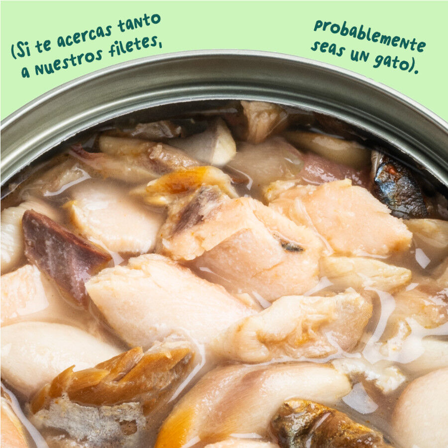 70 g Edgard & Cooper Filetes de Salm&oacute;n y Ceballa Lata para gatos, , large Imagem n&uacute;mero 5