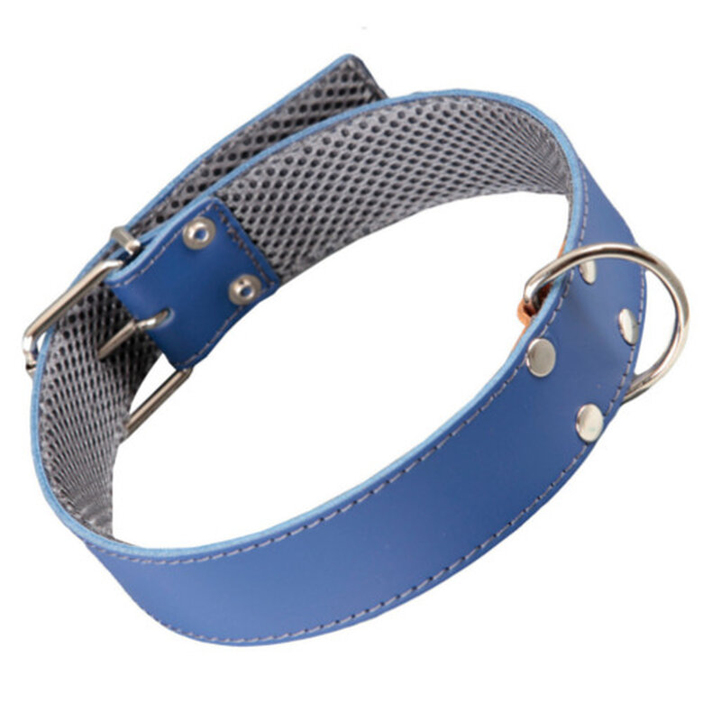 Arppe coleira de couro azul com forro interior para cães,  Imagem número 1 Arppe cuero azul con forro interior collar perros Imagem número 1