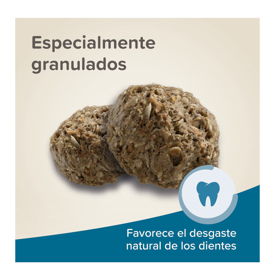 Beaphar Care+ ra&ccedil;&atilde;o para coelhos seniors, , large Imagem n&uacute;mero 6