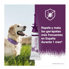 Pipetas Antiparasitárias para cães Vectra 3D, , large image number null