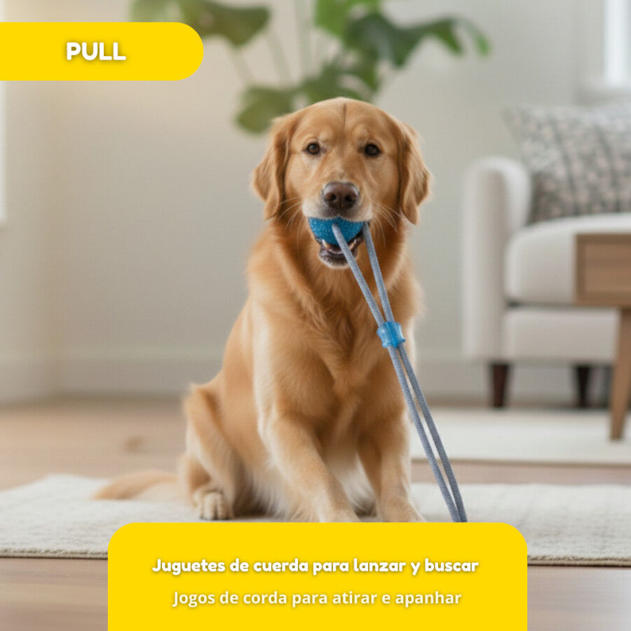 Tootoy! Pull Brinquedo interativo corda com pega para c&atilde;es, , large Imagem n&uacute;mero 6