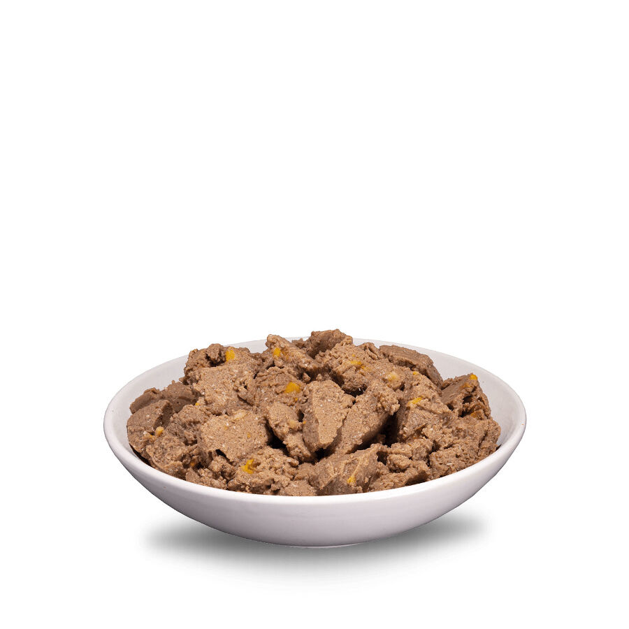 400 g ERA Sybarite Adulto Atum, Porco e Batata Doce pat&ecirc; em lata para c&atilde;es, , large Imagem n&uacute;mero 2