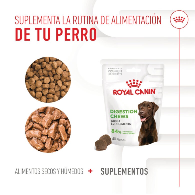 160 g Royal Canin Digestion Chews Suplemento Nutricional para cães com sensibilidade,  Imagem número 9 160 g Royal Canin Digestion Chews Suplemento Nutricional para cães com sensibilidade, , large Imagem número 9