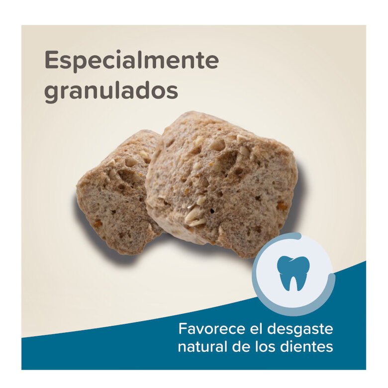 500 g Beaphar Care+ Ração para hámsteres,  Imagem número 6 500 g Beaphar Care+ Ração para hámsteres, , large Imagem número 6
