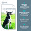 Sure Petcare Animo Monitor comportamental para cães, , large Indicador imagem número 5