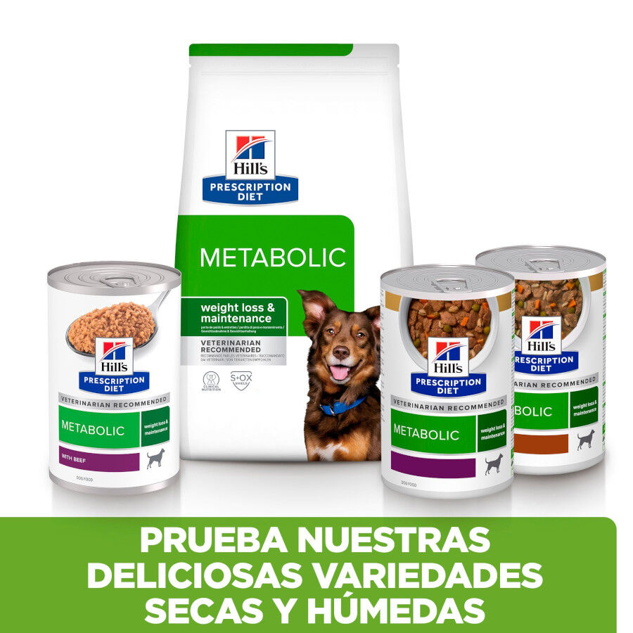 370 g Hill's Prescription Diet Metabolic Lata de carne e vegetais para c&atilde;es, , large Imagem n&uacute;mero 9
