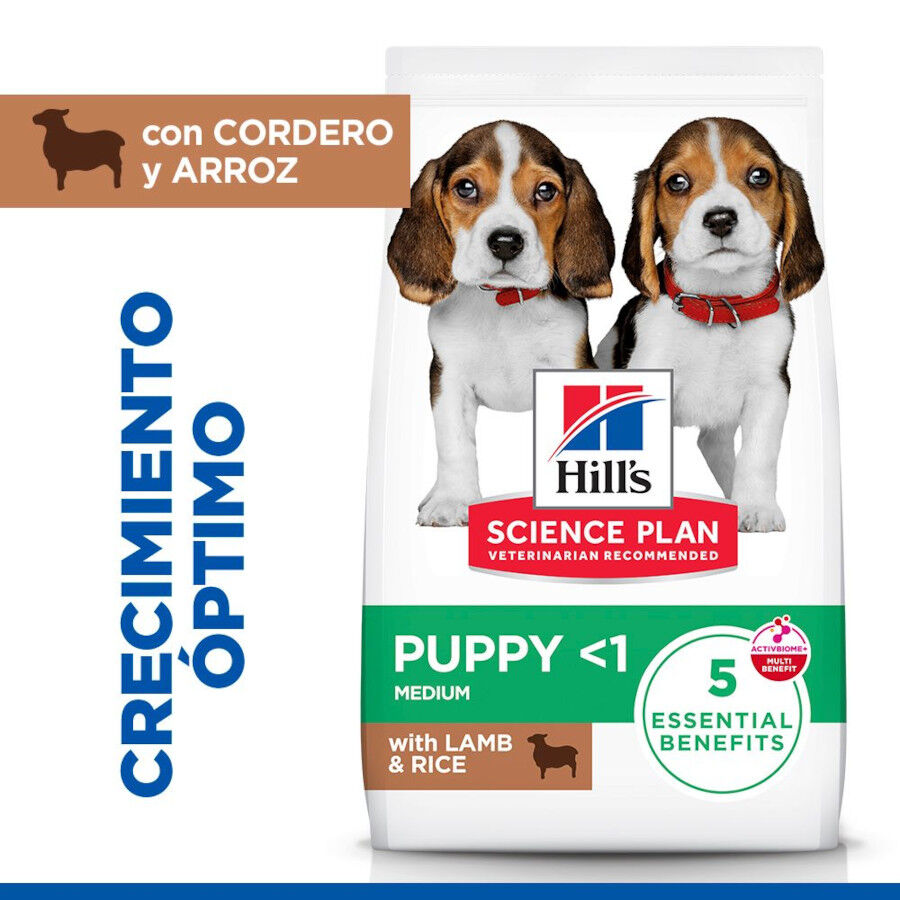 14 kg Hill's Science Plan Puppy Medium Ra&ccedil;&atilde;o de cordeiro e arroz para c&atilde;es, , large Imagem n&uacute;mero 2