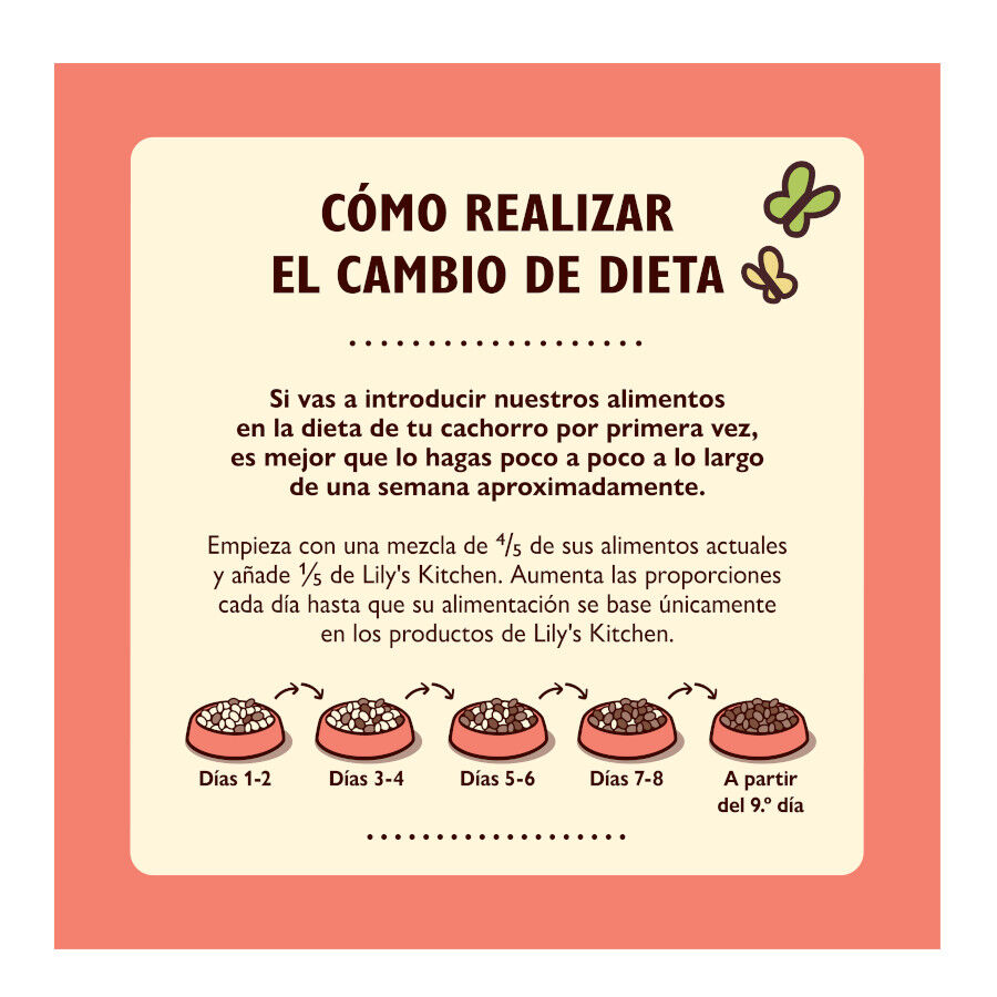 2.5 kg Lily's Kitchen Puppy Frango e Salm&atilde;o ra&ccedil;&atilde;o para c&atilde;es, , large Imagem n&uacute;mero 5