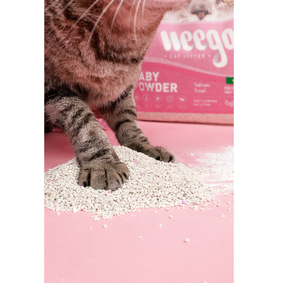 Weego Baby Powder Areia Aglomerante para gatos, , large Imagem n&uacute;mero 4