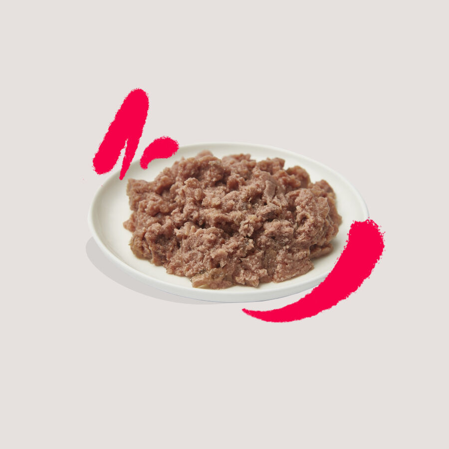 12 terrinas x 85 g Edgard y Cooper Frango e Peru em Pat&ecirc; terrina para gatos seniores Pack poupan&ccedil;a!, , large Imagem n&uacute;mero 3