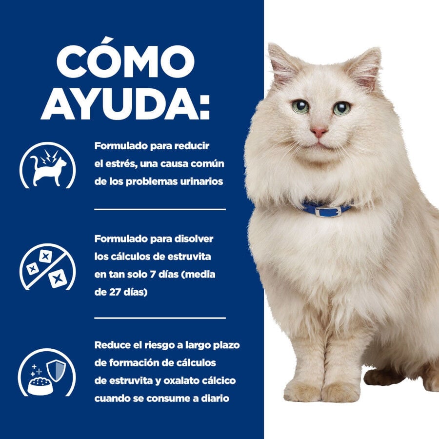 3 kg Hill's Prescription Diet c/d Urinary Stress Peixe Azul Ra&ccedil;&atilde;o para gatos, , large Imagem n&uacute;mero 5
