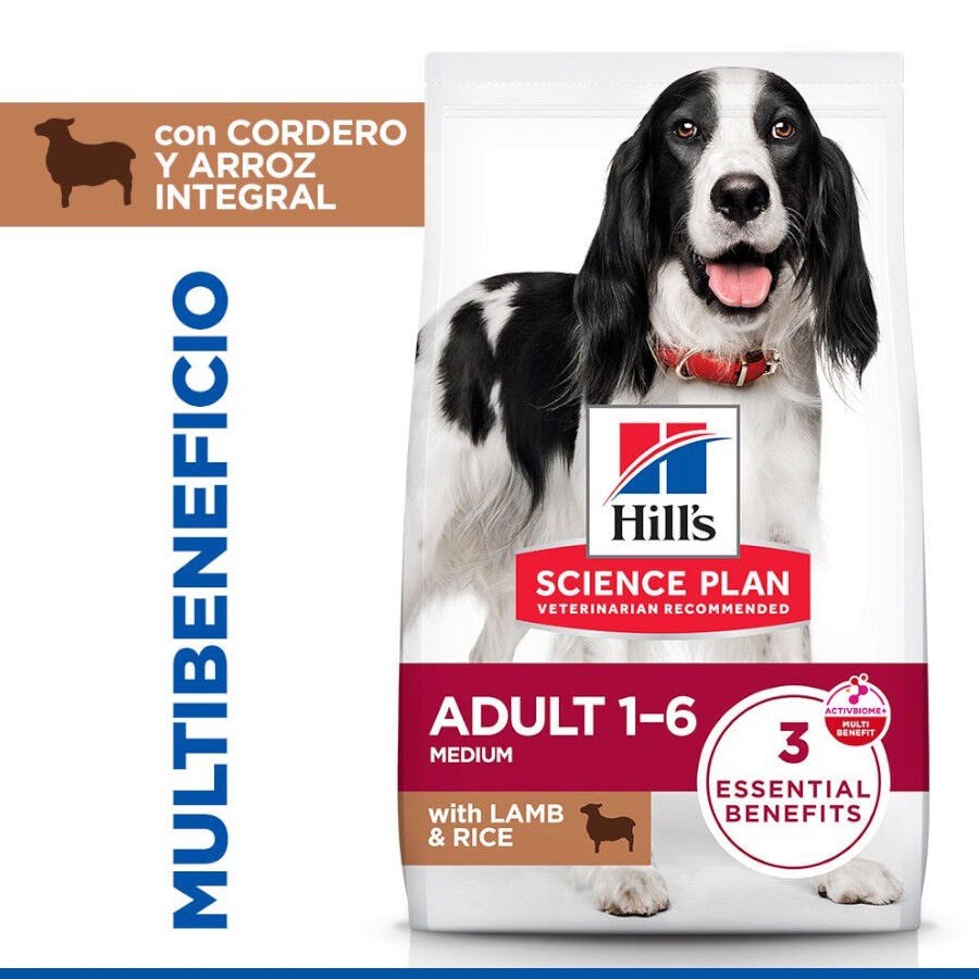 2 x 14 kg Hill's Science Plan Adult Medium Cordeiro e Arroz ra&ccedil;&atilde;o para c&atilde;es Pack poupan&ccedil;a!, , large Imagem n&uacute;mero 2