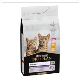 Pro Plan Junior Frango ração para gatos