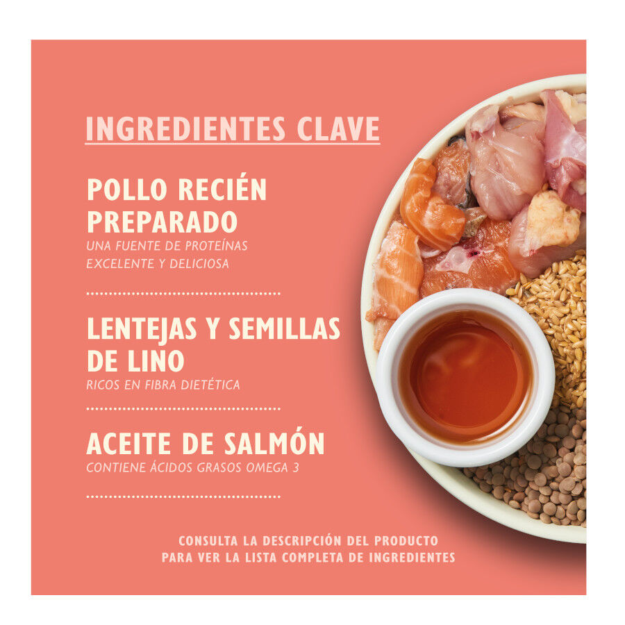 2.5 kg Lily's Kitchen Puppy Frango e Salm&atilde;o ra&ccedil;&atilde;o para c&atilde;es, , large Imagem n&uacute;mero 2