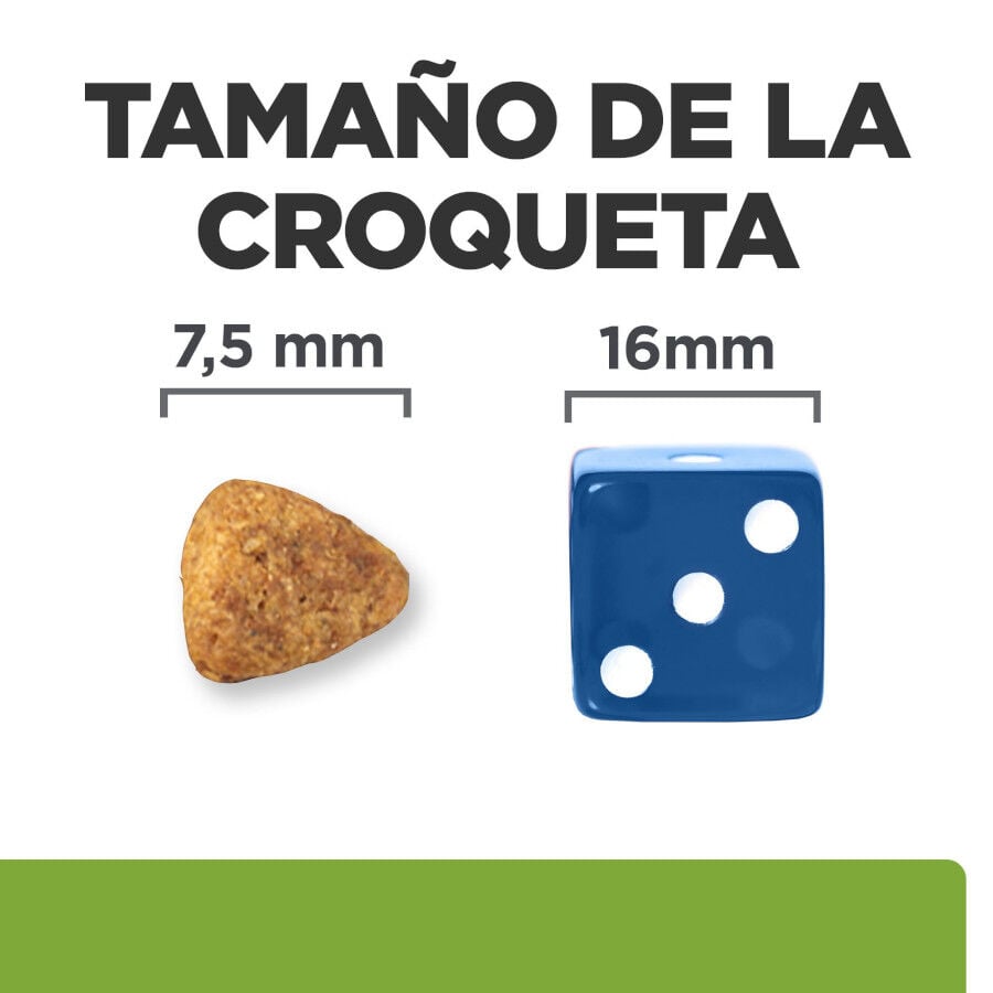 2 x 6 kg Hill's Prescription Diet j/d Metabolic + Mobility mini Adult ra&ccedil;&atilde;o para c&atilde;es Pack poupan&ccedil;a!, , large Imagem n&uacute;mero 6