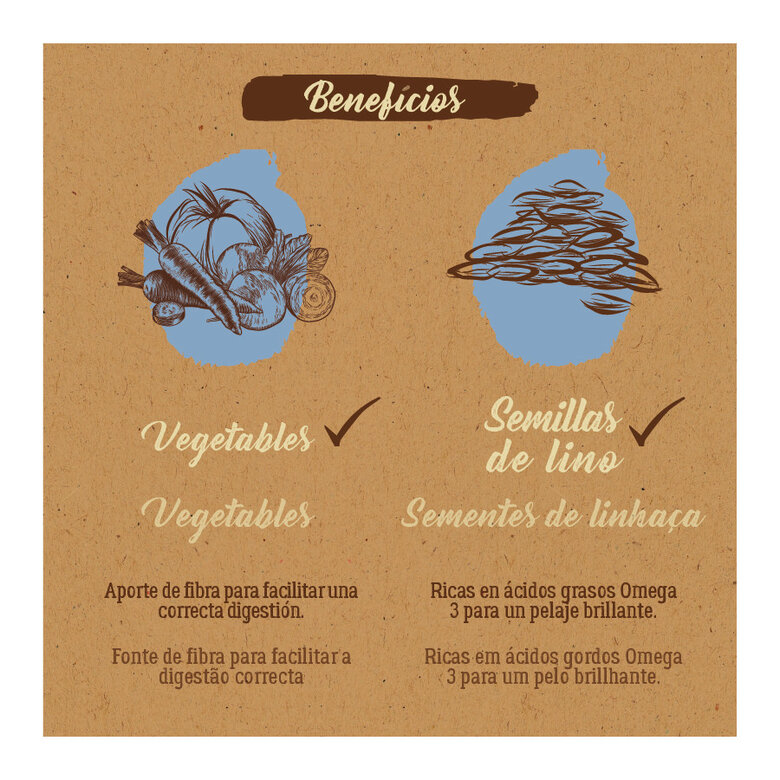 12 kg True Origins Pure Adult Medium Maxi Salmon Ração para cães,  Imagem número 5 12 kg True Origins Pure Adult Medium Maxi Salmon Ração para cães, , large Imagem número 5