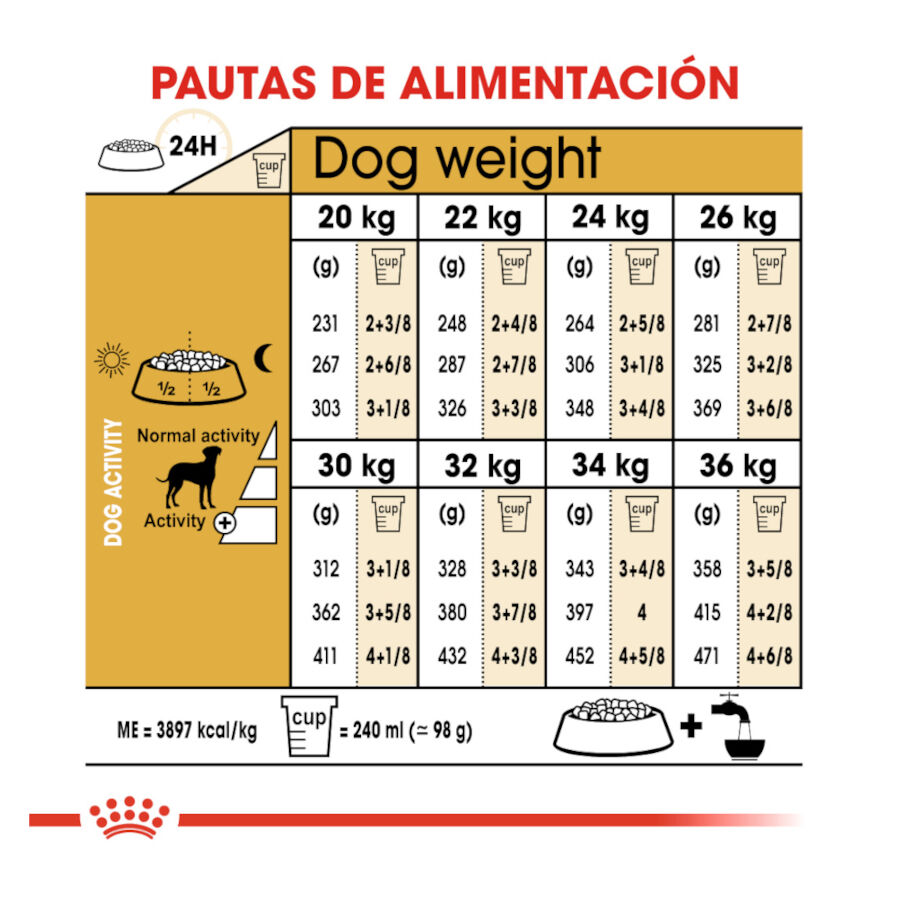 12 kg Royal Canin Adult D&aacute;lmata ra&ccedil;&atilde;o para c&atilde;es, , large Imagem n&uacute;mero 8