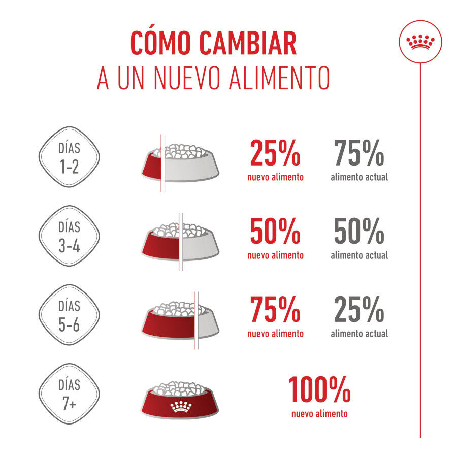 15 kg Royal Canin Medium Starter Mother&Baby ra&ccedil;&atilde;o para c&atilde;es, , large Imagem n&uacute;mero 9