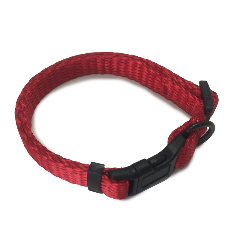 Outech Coleira Vermelha para cães grandes,  Imagem número 1 Outech Coleira Vermelha para cães grandes, , large Imagem número 1