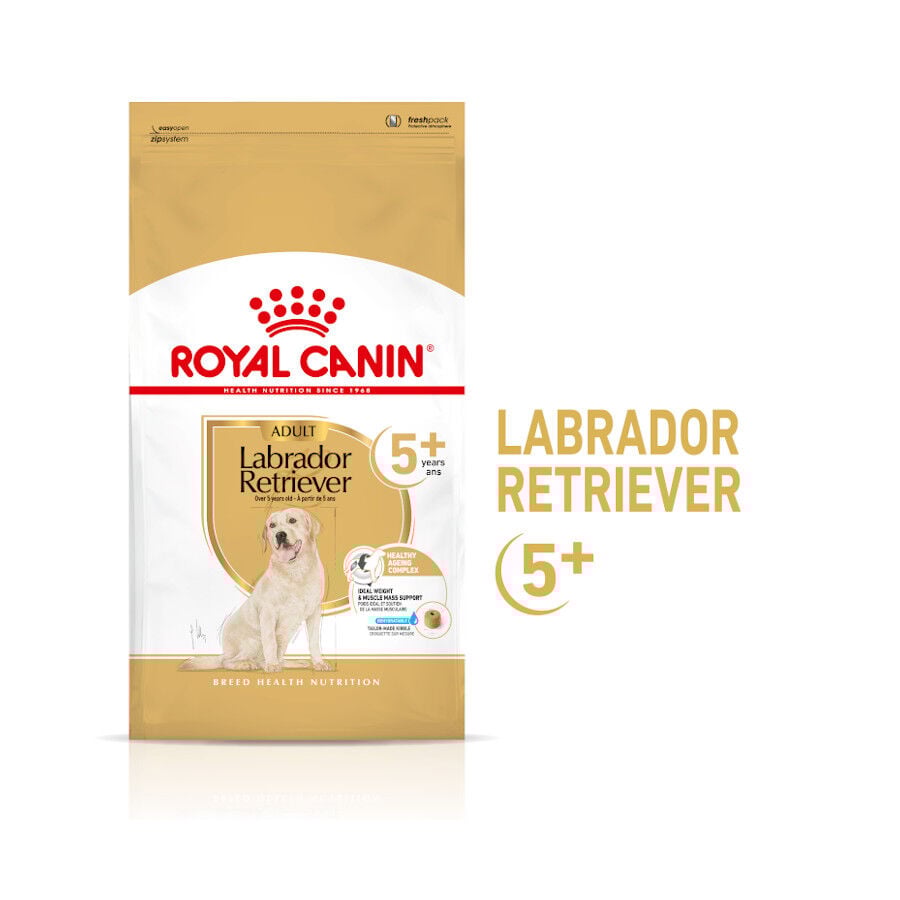 12 kg Royal Canin Adult 5+ Labrador ra&ccedil;&atilde;o para c&atilde;es, , large Imagem n&uacute;mero 2