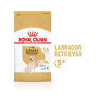 Royal Canin Adult 5+ Labrador ração para cães, , large image number null