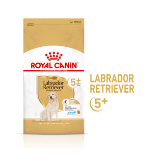 Royal Canin Adult 5+ Labrador ração para cães