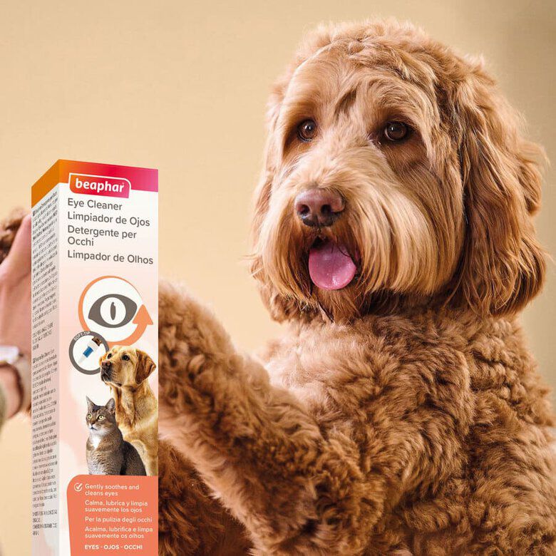 Beaphar Limpiador de Ojos para perros y gatos Imagem n&uacute;mero 9
