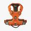 Dog Copenhagen Comfort Walk Pro Peitoral Laranja para cães, , large Indicador imagem número 2