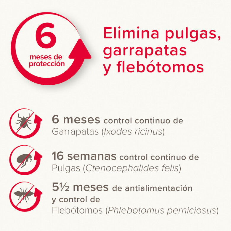 Beaphar Canishield Coleira Antipulgas para cães,  Imagem número 3 Beaphar Canishield Coleira Antipulgas para cães, , large Imagem número 3