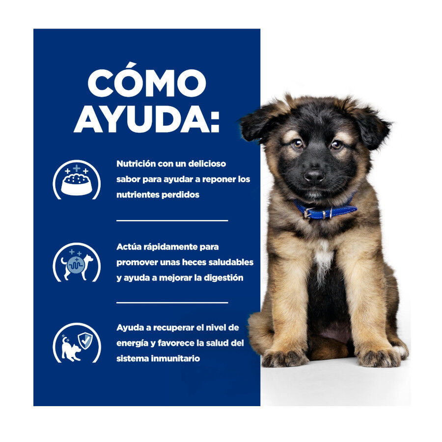 360 g Hill's Prescription Diet i/d Digestive Care Puppy Comida h&uacute;mida de frango em lata para cachorros, , large Imagem n&uacute;mero 4